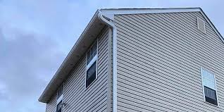 Historical Building Siding Restoration in Manti, UT